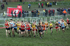 Senior boys 2019 New Balance English Schools Cross Country Champs, Temple Newsam, Leeds. Photo:  David T. Hewitson/Sports for All Pics